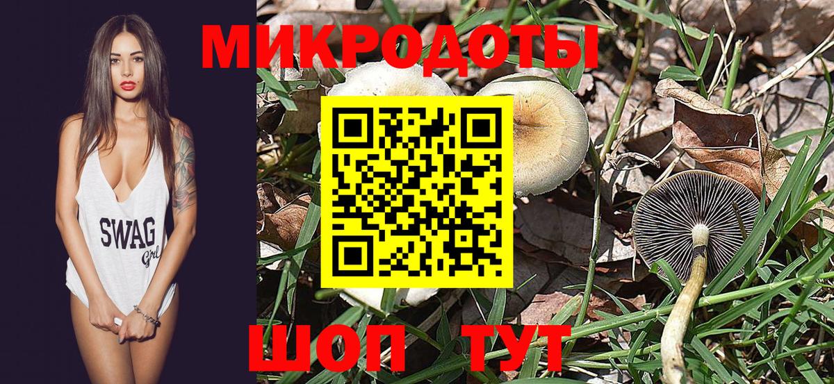 Канск  Псилоцибиновые грибы GOLDEN TEACHER  Вход с VPN 