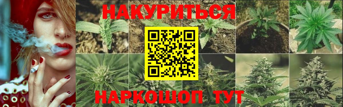 Каннабис Bruce Banner  Вход с VPN  Каннабис индика  Канск  Каннабис гибрид 